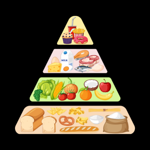 Nutrition saine & sportive